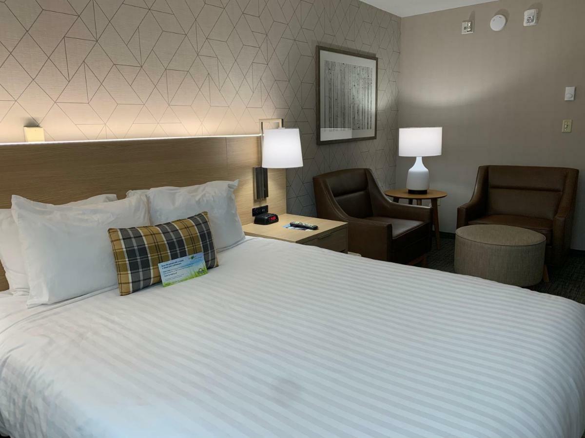 Studio Suite Two Queen Beds Non-Smoking,908841211:JPEG